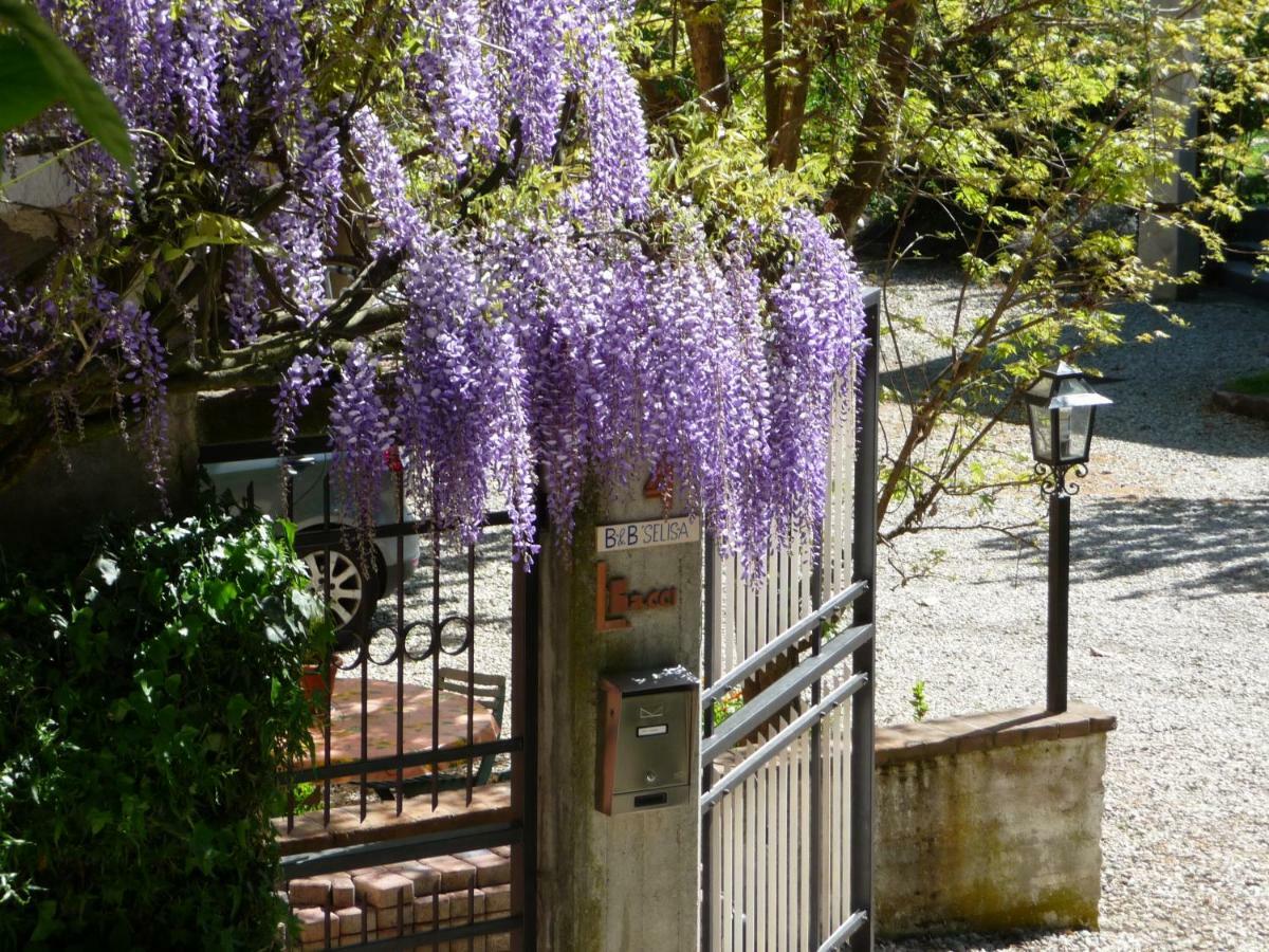 B&B Selisa Bene Vagienna Exterior photo